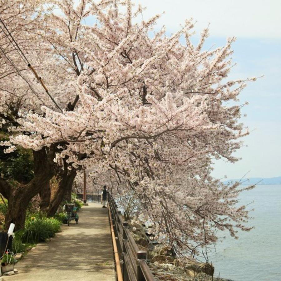 Kyukamura Ohmi-Hachiman Omihačiman Exteriér fotografie
